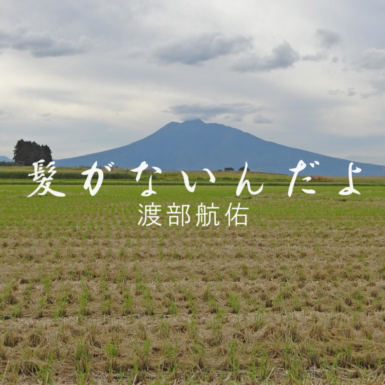 髪がないんだよジャケット