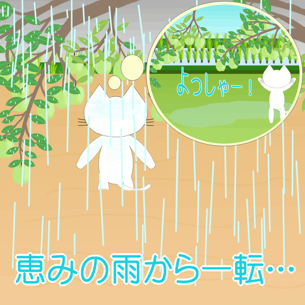 「なまねご」のワンポイント方言-雨は程々がいいレオ君
