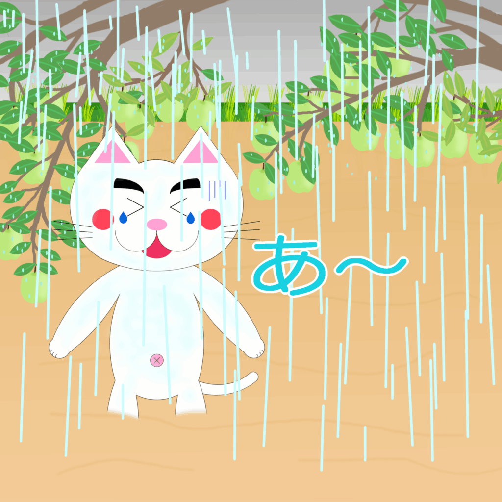 「なまねご」のワンポイント方言-雨は程々がいいレオ君