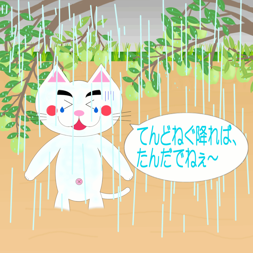 「なまねご」のワンポイント方言-雨は程々がいいレオ君