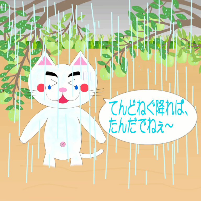 「なまねご」のワンポイント方言-雨は程々がいいレオ君