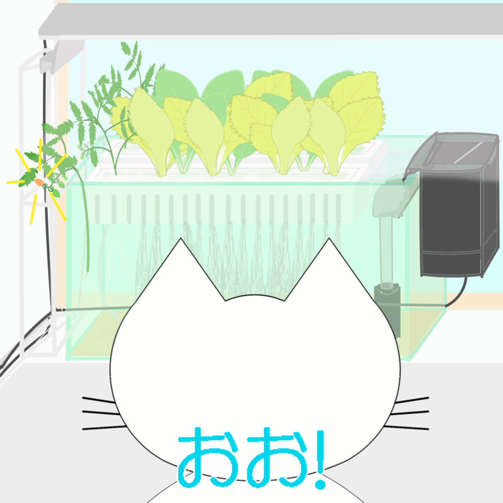 「なまねご」のワンポイント方言-SDGsなレオ君つづき