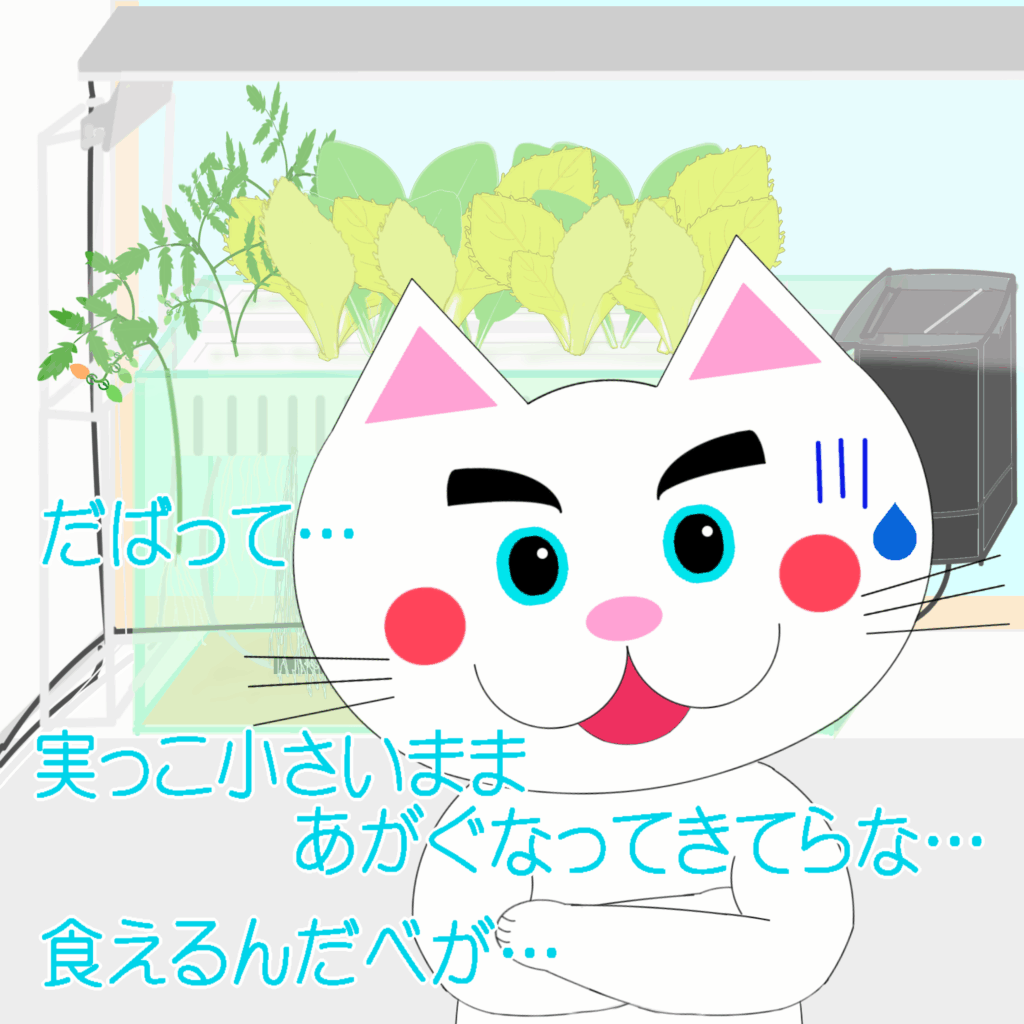 「なまねご」のワンポイント方言-SDGsなレオ君つづき