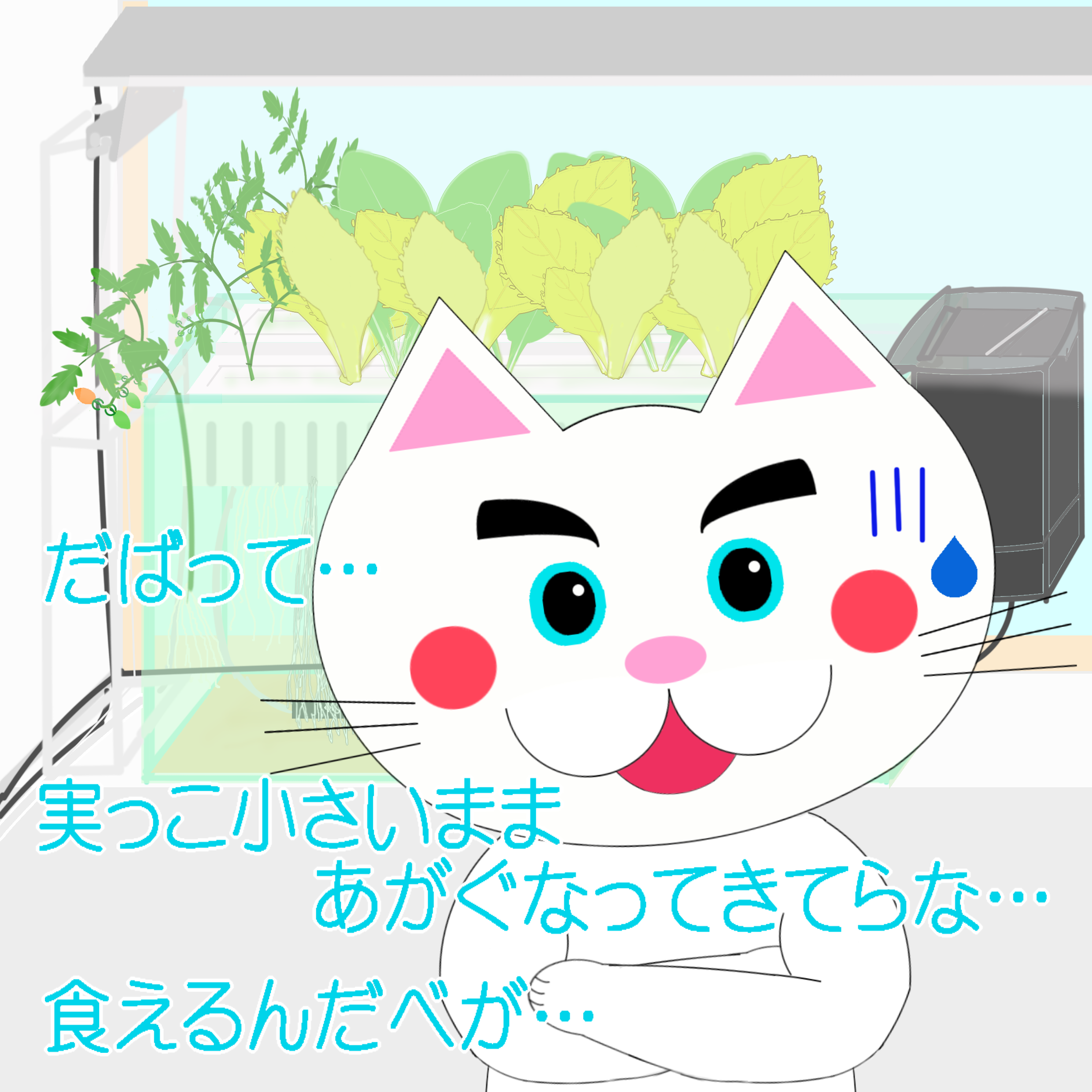 「なまねご」のワンポイント方言-SDGsなレオ君つづき