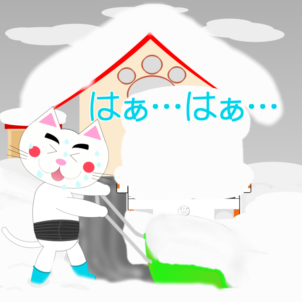 「なまねご」のワンポイント方言-腰サポーターを付けるレオ君